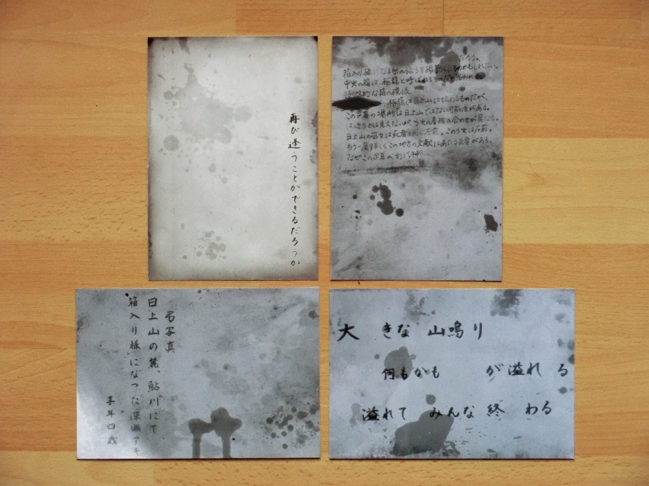 Project Zero Maiden of Black Water Wii U Survival Horror Fatal Frame Limited Edition Cards