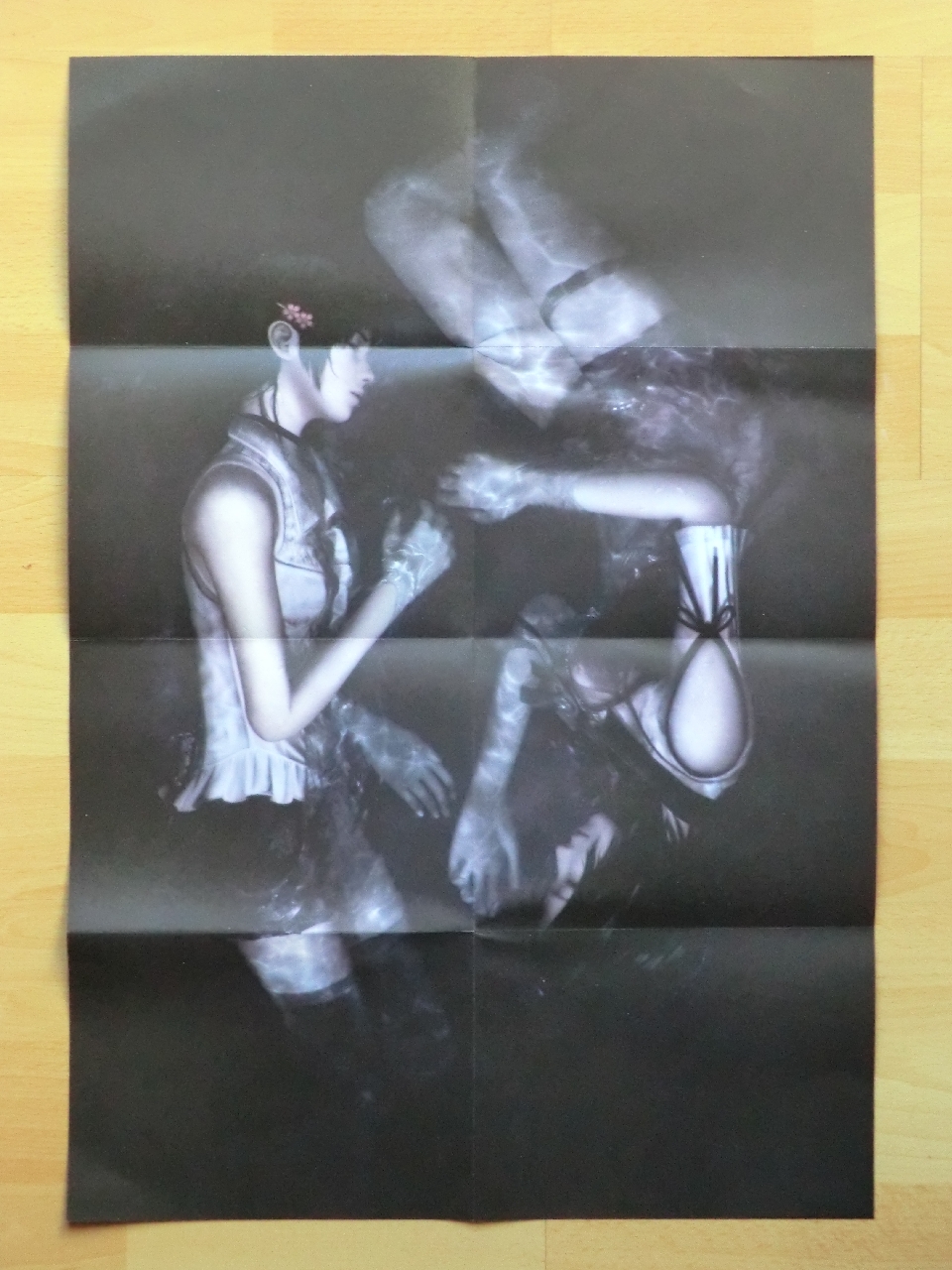 Project Zero Maiden of Black Water Wii U Survival Horror Fatal Frame Limited Edition Poster